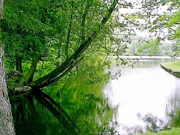 waterfront at little nell saranac lake, ny