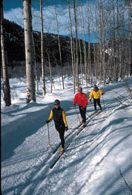 cross country skiing