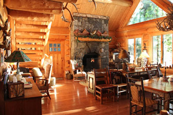 log interior adirondacks